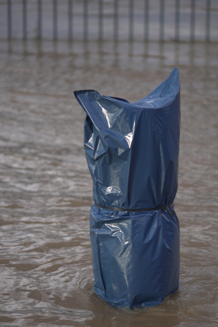 Hochwasser in Koblenz....