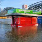 Hochwasser in Köln