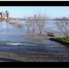 Hochwasser in Köln