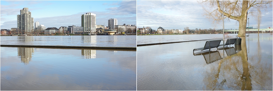 .hochwasser in koeln am rhein.