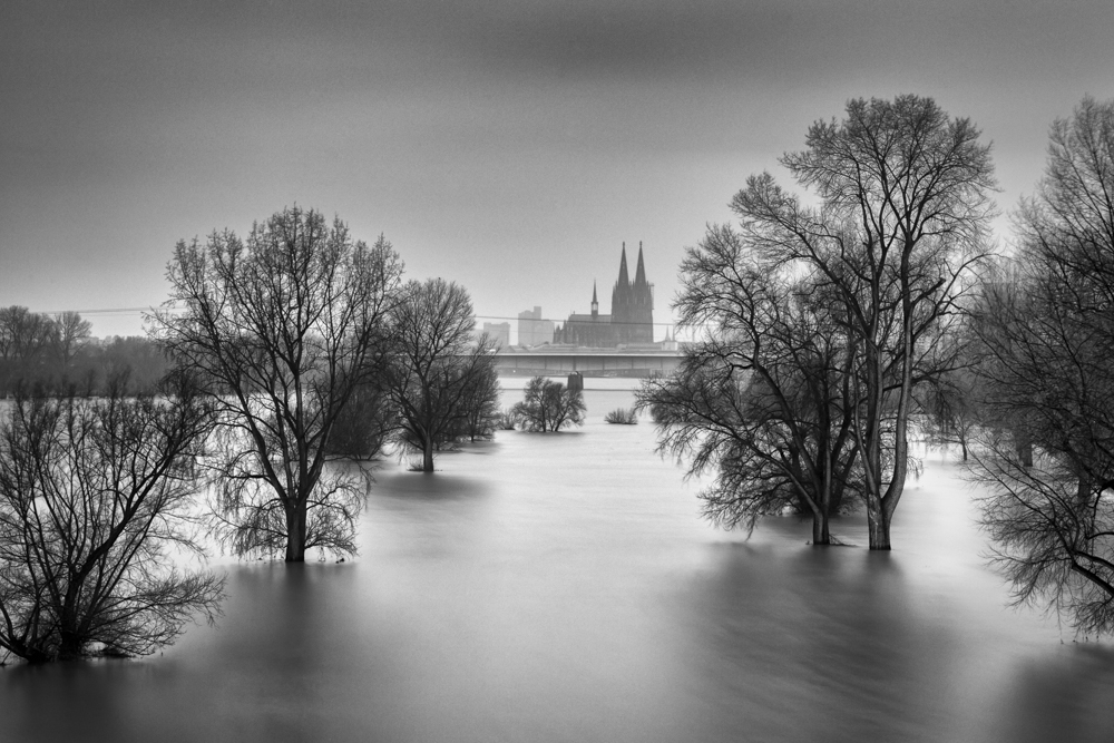 Hochwasser in Köln