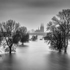 Hochwasser in Köln