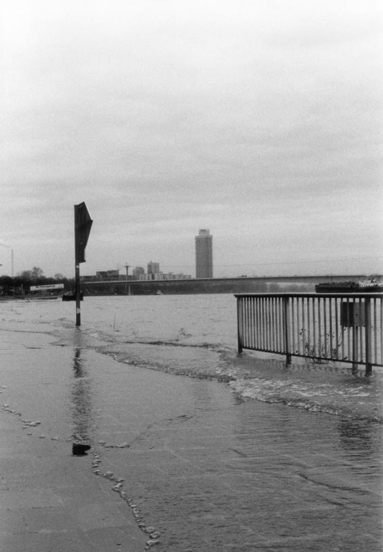 hochwasser in köln