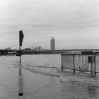 hochwasser in köln