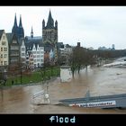 Hochwasser in Köln