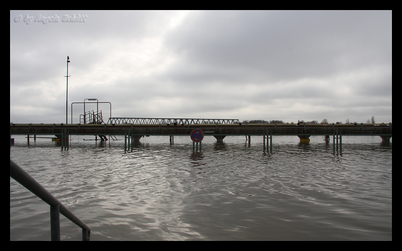 ~ Hochwasser in Lauenburg ~