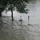 hochwasser in linz - wo gehts hier bitte nach...?