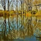 Hochwasser in "meinem" Revier