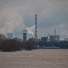 Hochwasser in Mohnheim am Rhein