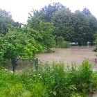 Hochwasser in Ottensheim