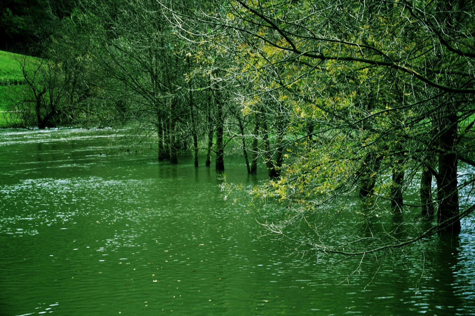 Hochwasser in Slovenien alle Bäume stehen nun im Fluss