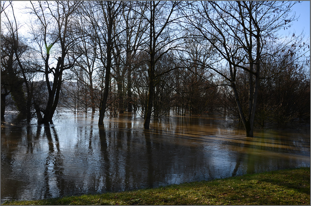 Hochwasser in Straubing - 1