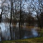 Hochwasser in Straubing - 1