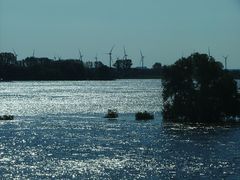 Hochwasser in Tangermünde 2013