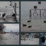 Hochwasser in Travemünde