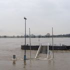 Hochwasser in Uerdingen