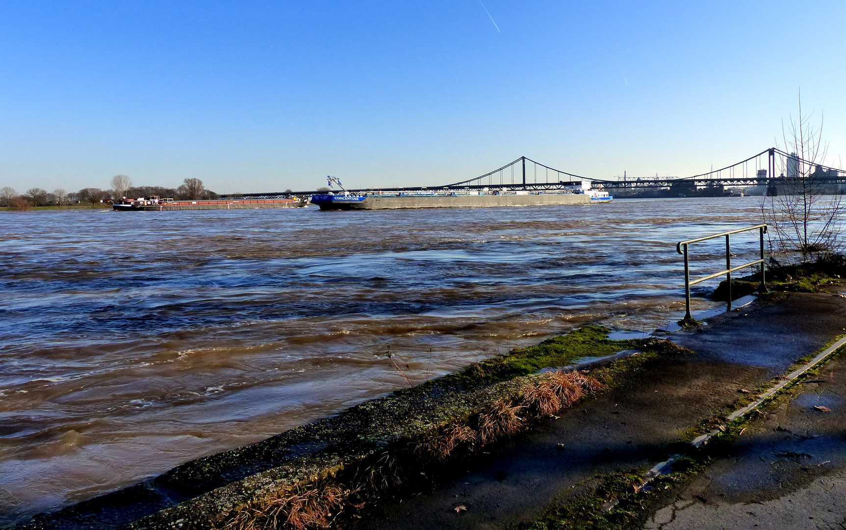 Hochwasser in Uerdingen am Rhein Foto &amp; Bild deutschland, europe