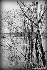 Hochwasser in Westsibirien