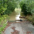 Hochwasser in Wien...