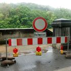 Hochwasser in Würzburg (2)