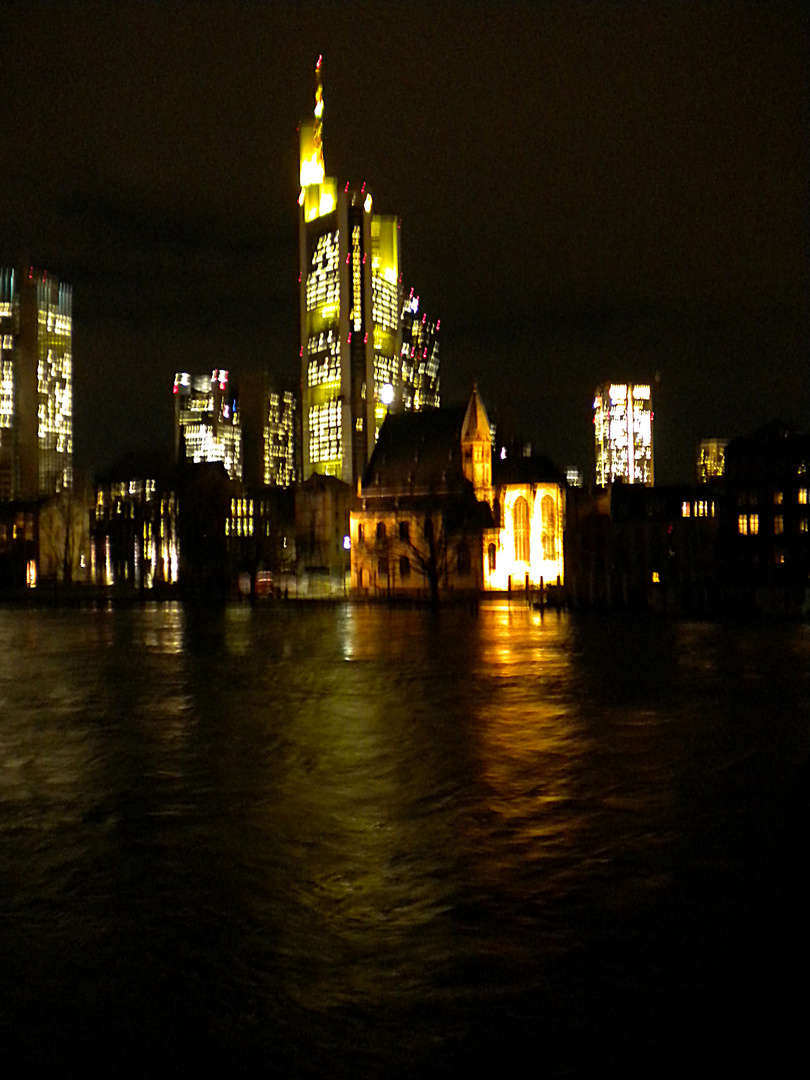 Hochwasser Januar 2011 1