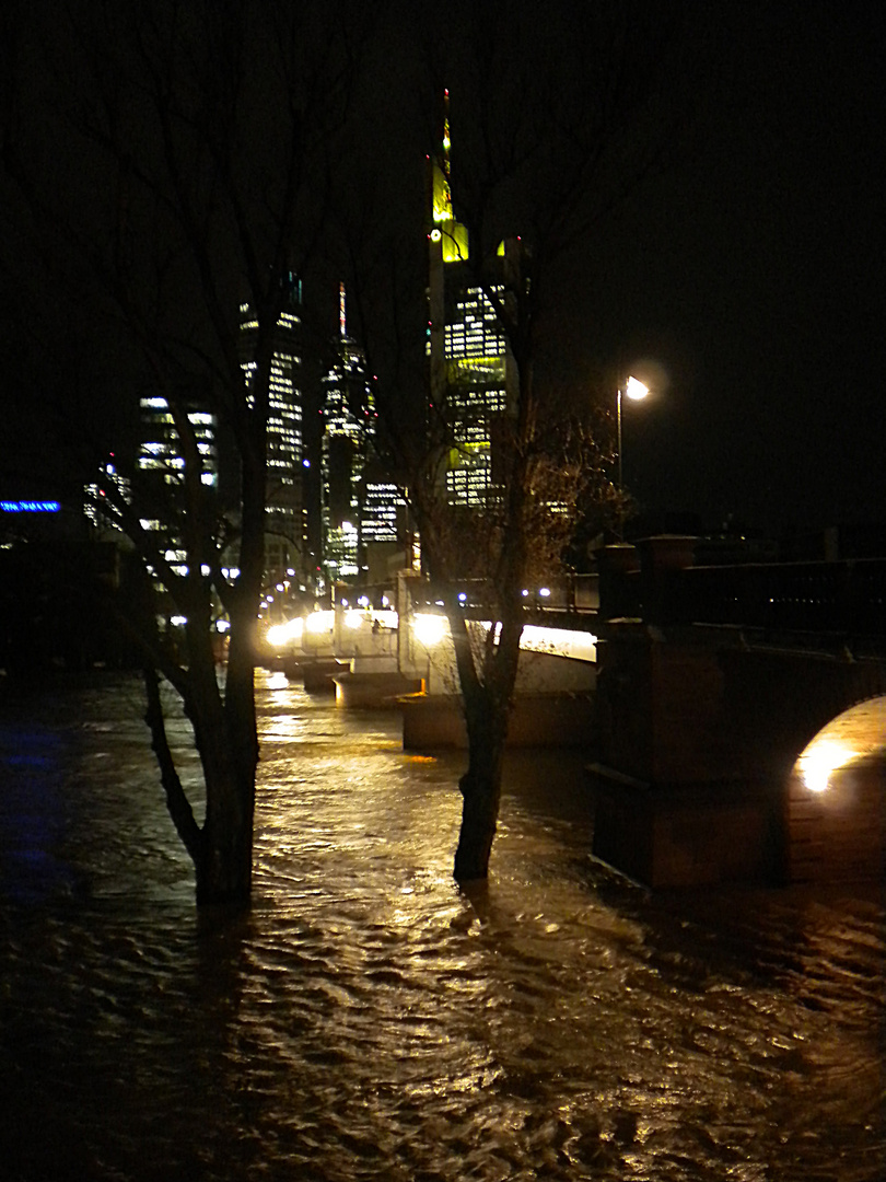 Hochwasser Januar 2011 2
