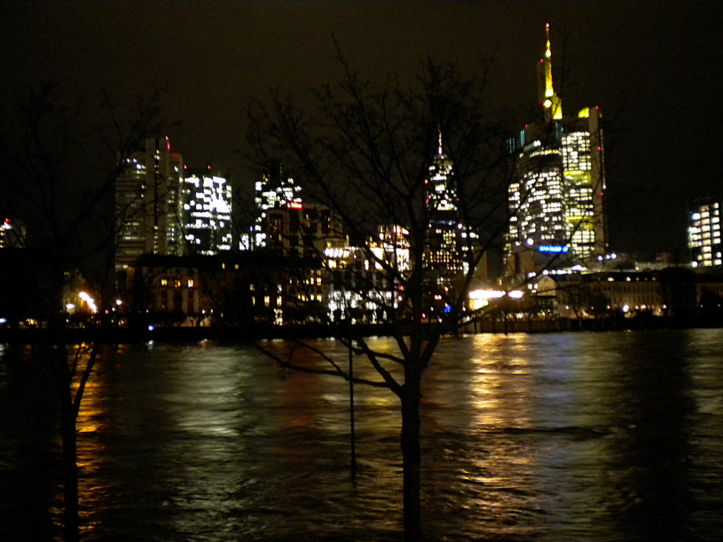 Hochwasser Januar 2011 3