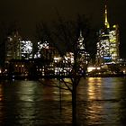 Hochwasser Januar 2011 3