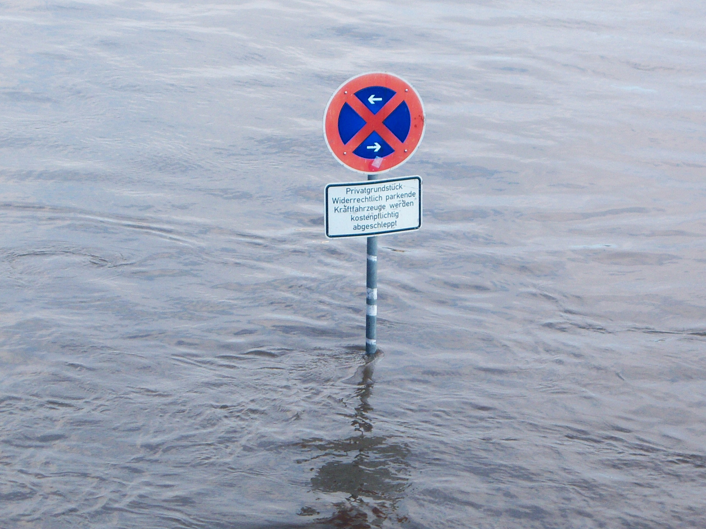 Hochwasser Januar 2011