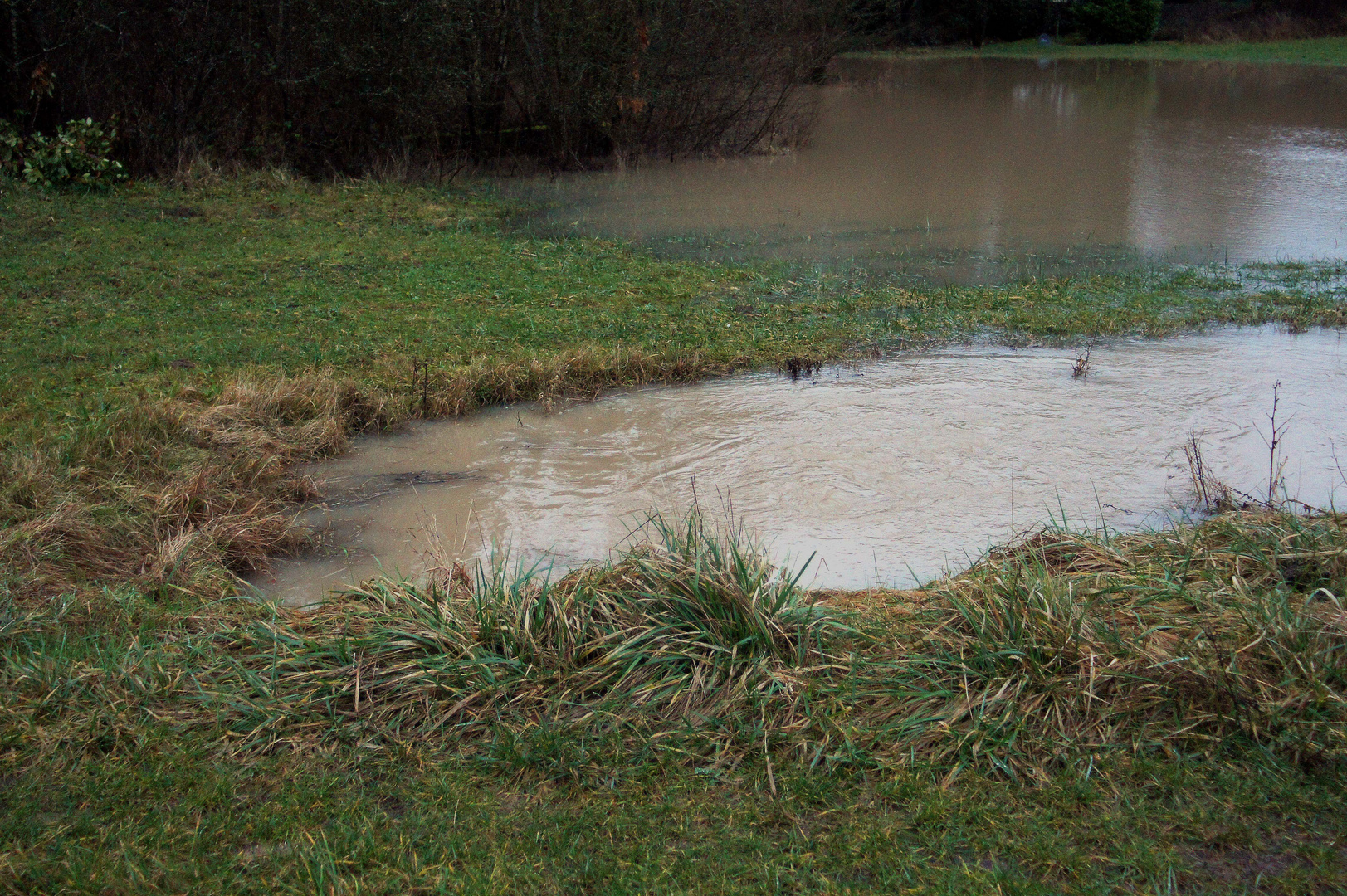 Hochwasser Januar 2018