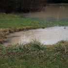 Hochwasser Januar 2018