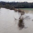 Hochwasser Januar 2018 