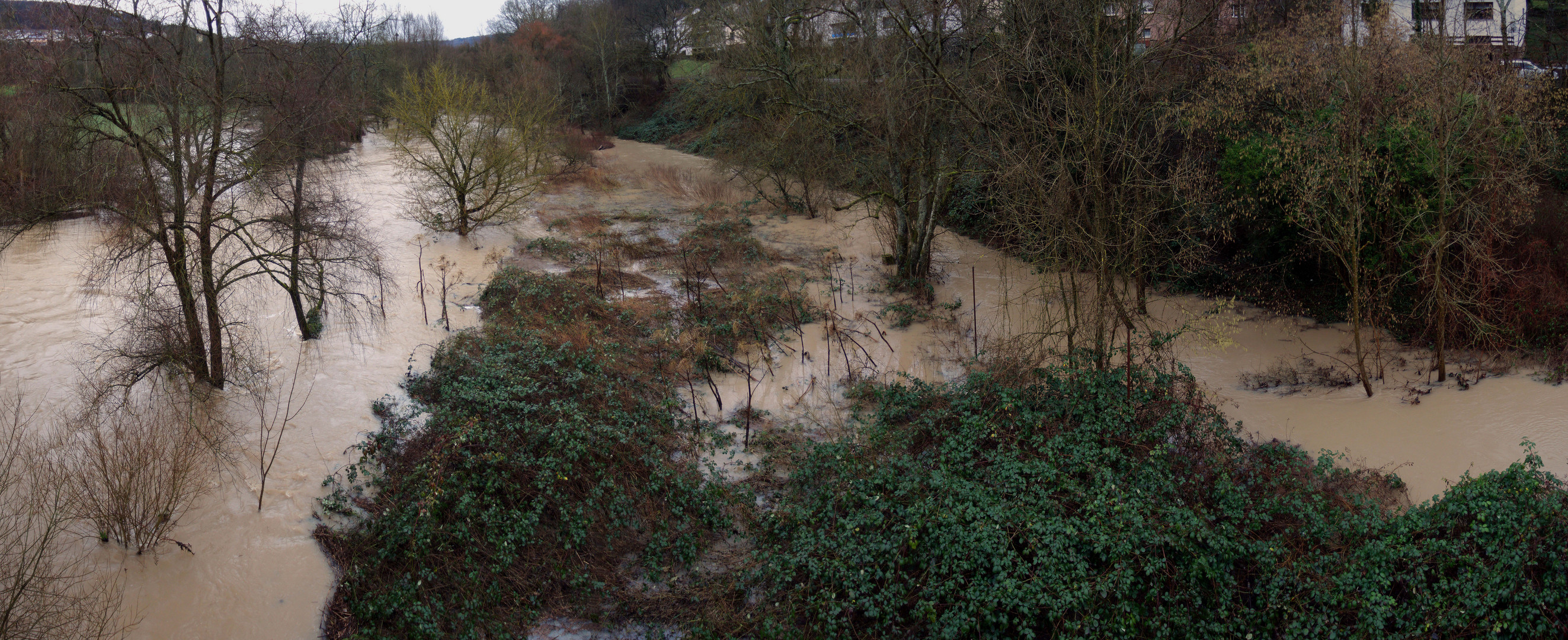 Hochwasser Januar 2018