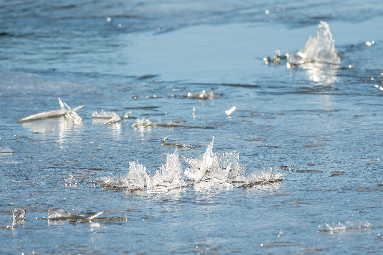 Hochwasser, Kälte und Sonne am Niederrhein Januar 2024 - 2