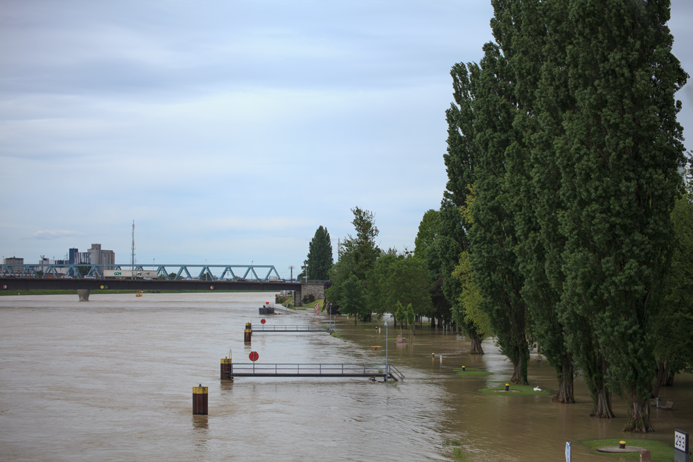 Hochwasser Kehl am Rhein 03.06.2013 [1]