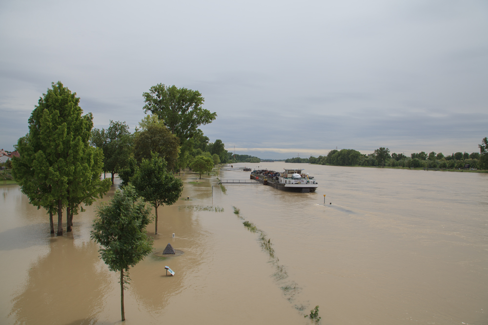 Hochwasser Kehl am Rhein 03.06.2013 [2]