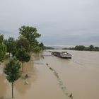 Hochwasser Kehl am Rhein 03.06.2013 [2]