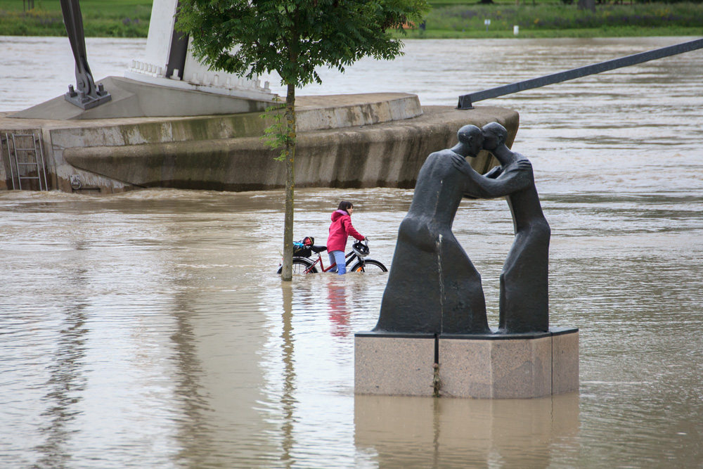 Hochwasser Kehl am Rhein 03.06.2013 [3]