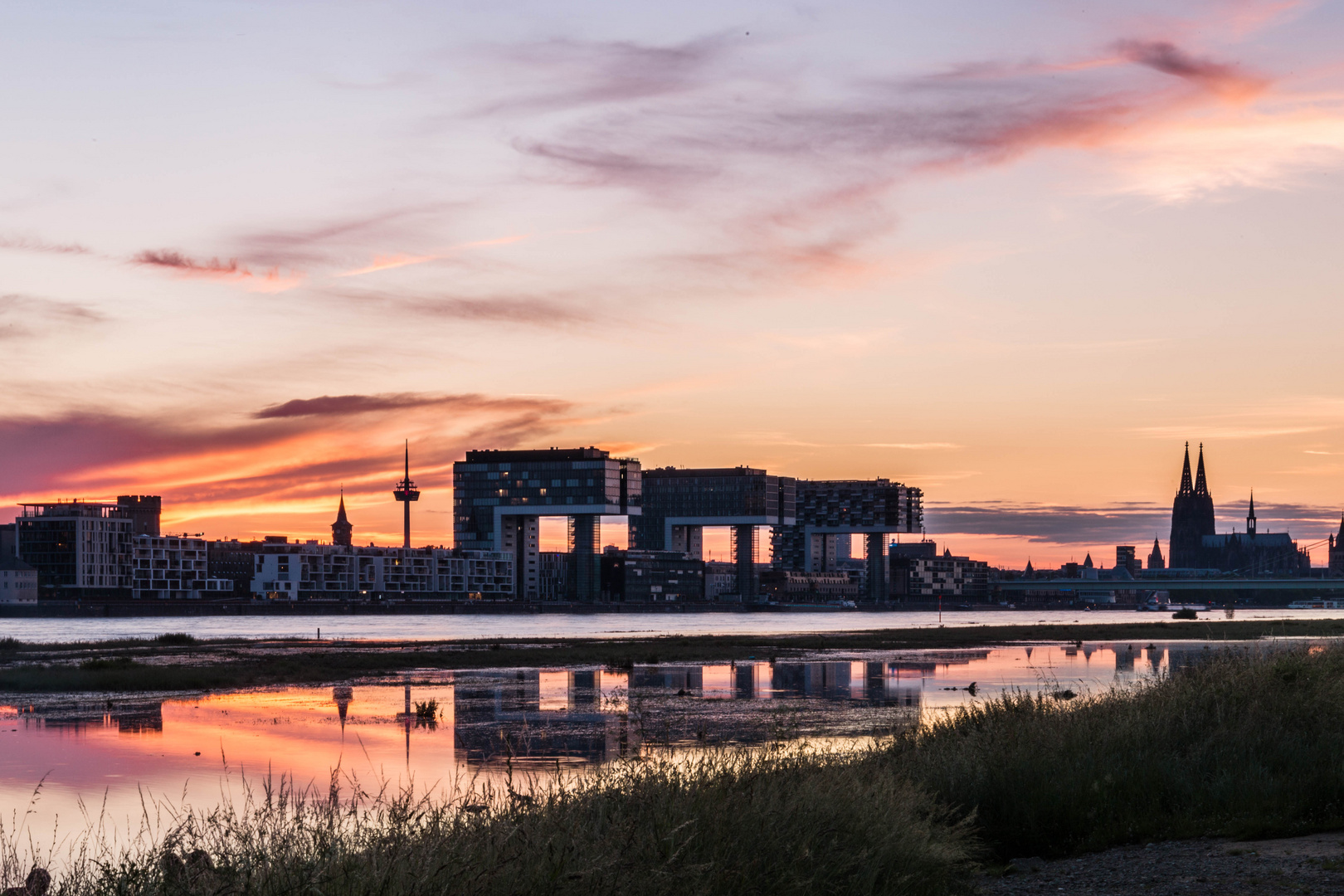 Hochwasser Köln Foto & Bild | sunset, natur, rhein Bilder ...