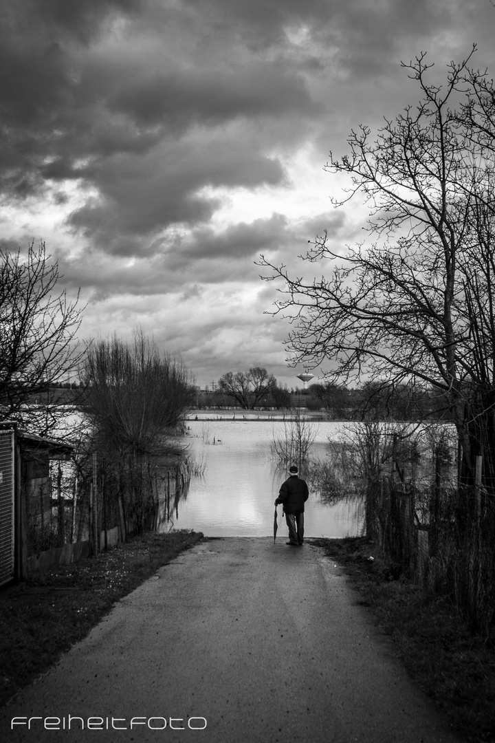 Hochwasser Köln 2012