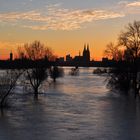 Hochwasser Köln Mülheim