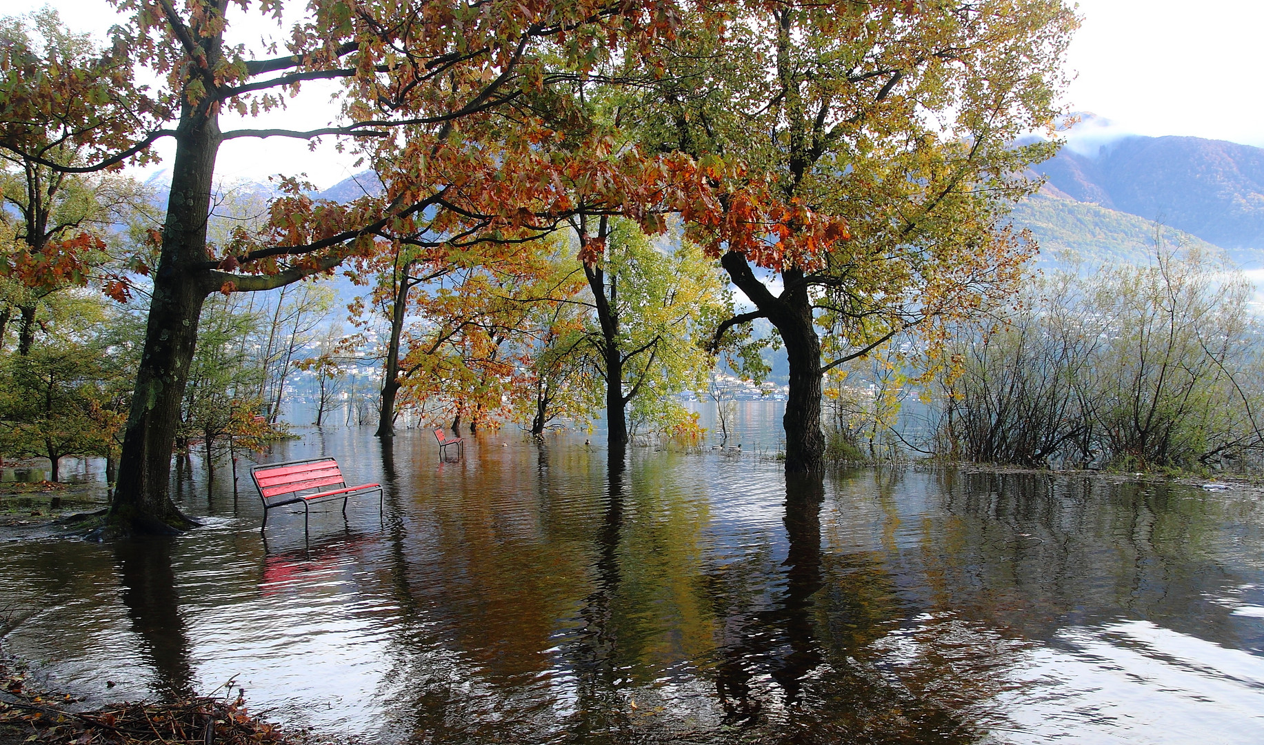 Hochwasser Lago Maggiore
