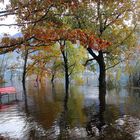Hochwasser Lago Maggiore