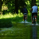 "Hochwasser Magdeburg"