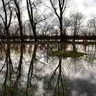 Hochwasser Maintal