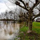 Hochwasser Maintal