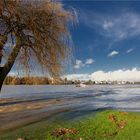 Hochwasser Marsch