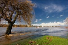 Hochwasser Marsch