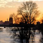 Hochwasser Mülheimer Brücke, Köln