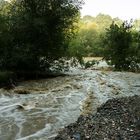 hochwasser: nearly@home